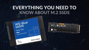 Everything You Need to Know about M.2 SSDs