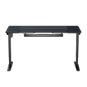 ThunderX3 LAB-X Standing Electric Desk